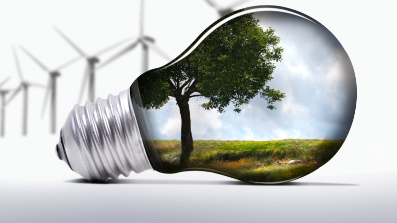 В Беларуси принята новая программа “Энергосбережение”: есть ли в ней место ВИЭ?