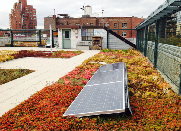 solar panel roof green schools nyc